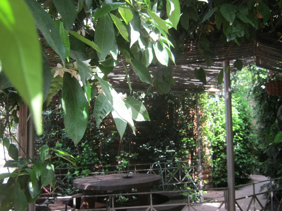 צימר ארבלית - ליד טבריה ו כנרת בגליל ב ארבל Exterior photo