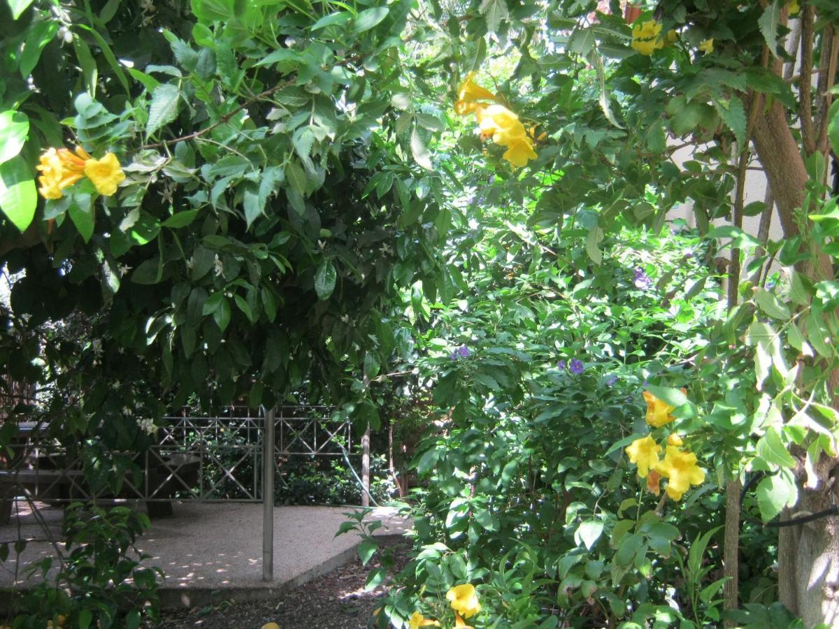 צימר ארבלית - ליד טבריה ו כנרת בגליל ב ארבל Exterior photo
