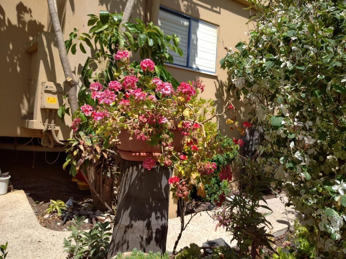 צימר ארבלית - ליד טבריה ו כנרת בגליל ב ארבל Exterior photo